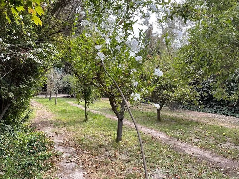 Venta Peñaflor