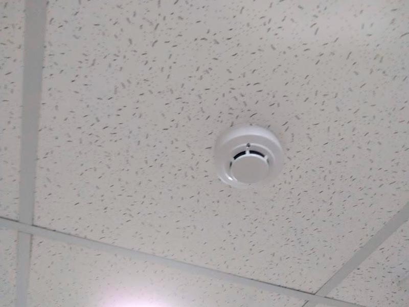 Arriendo Local San Pablo