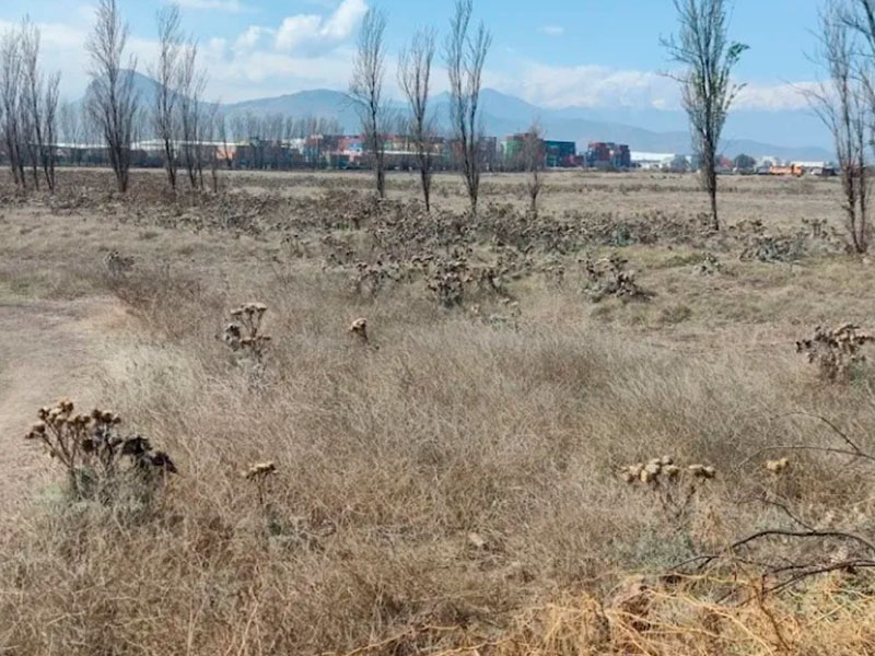 Terreno Industrial